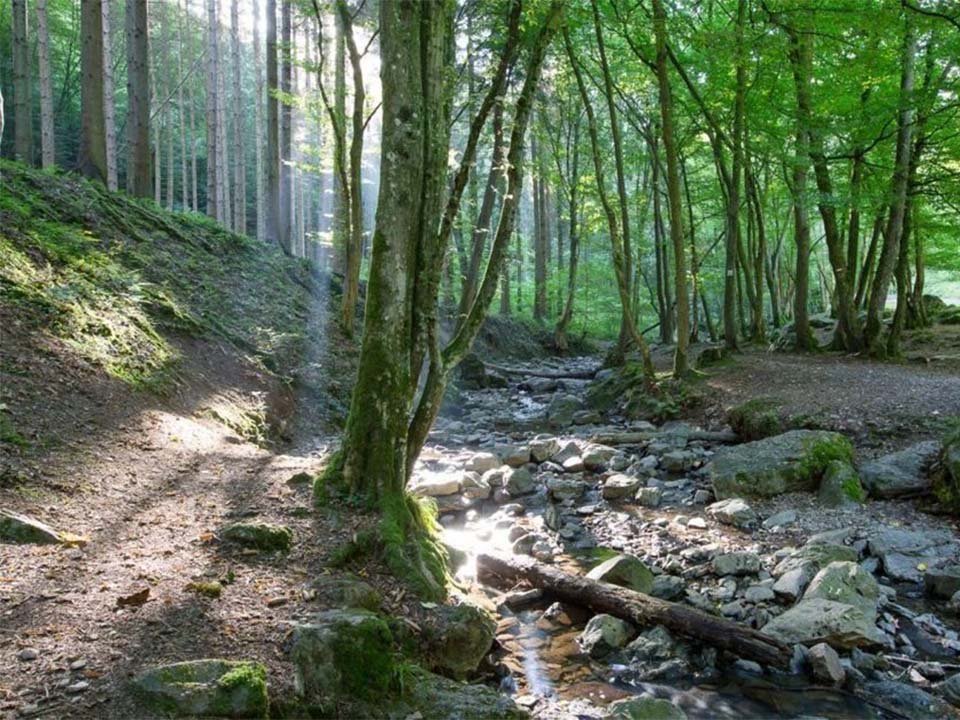 Villa-Wouw-Ardennen5